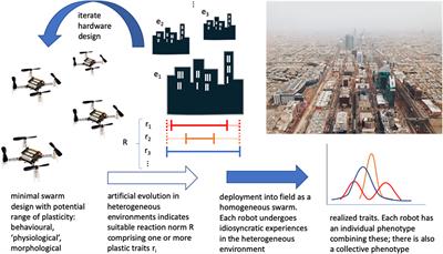 Phenotypic Plasticity Provides a Bioinspiration Framework for Minimal Field Swarm Robotics